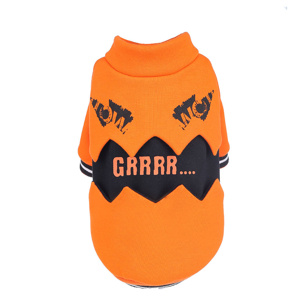 New Halloween Arrivals: Spider Pack, Spooky Sweater & Witch Hat