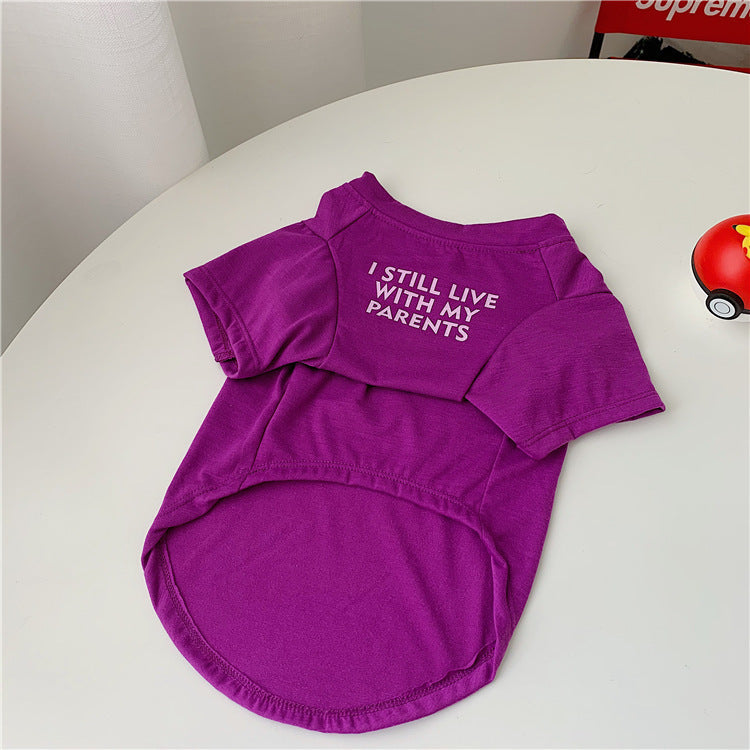 Should Your Dog Wear Clothes? Comfort Rules, Sizing & When It Helps