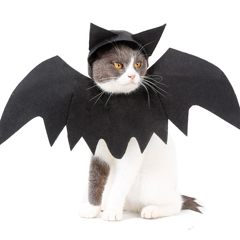 Pet Halloween Costume Safety: 10 Vet-Approved Tips for Dogs & Cats