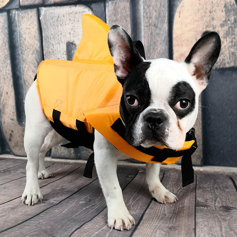 Front view of dog wearing the orange shark vest