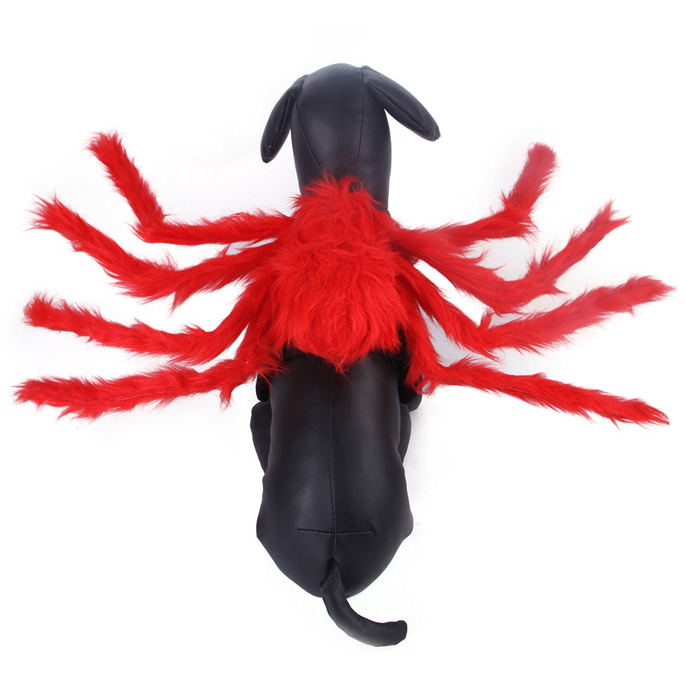 Black dog wearing red and black spider costume for Halloween