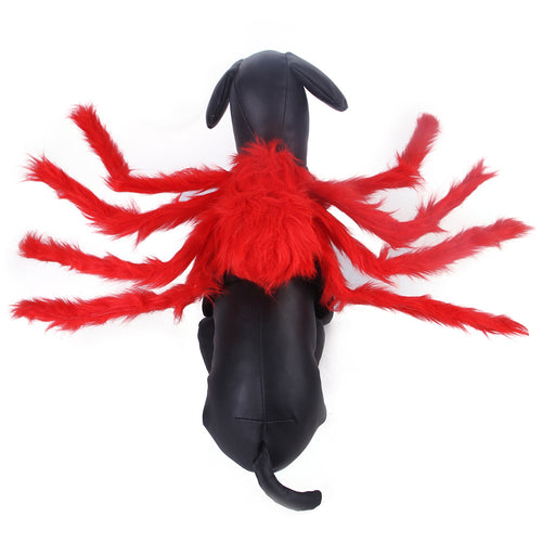 Black dog wearing red and black spider costume for Halloween