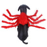 Black dog wearing red and black spider costume for Halloween
