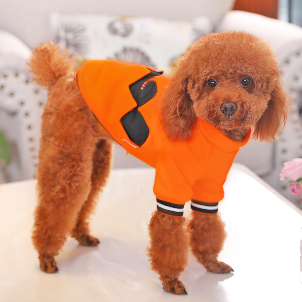 Dog wearing orange Furly Spooky Sweater Halloween sweater