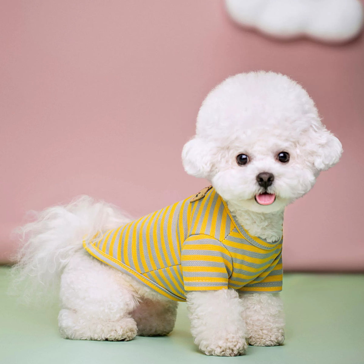 Furly Threads — The Striped Polo — Pet Tee — view 3