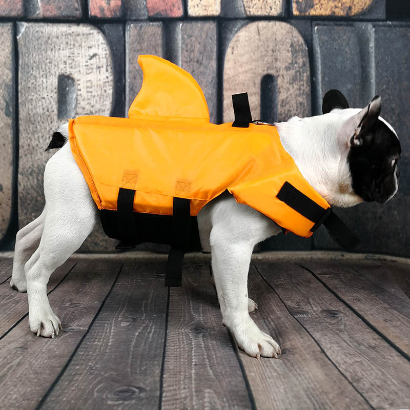 Side view of dog standing in orange shark fin life vest