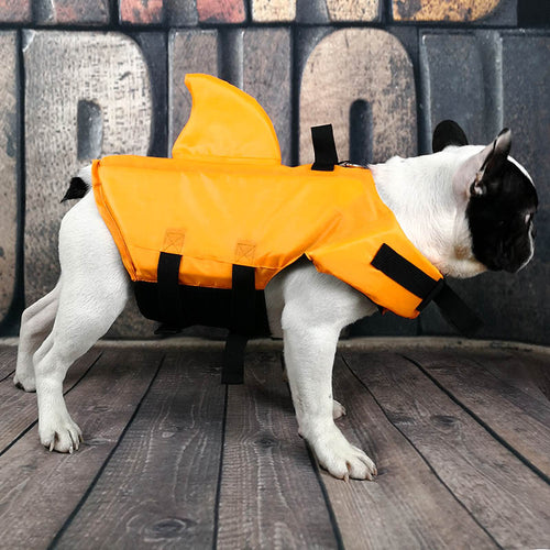Side view of dog standing in orange shark fin life vest