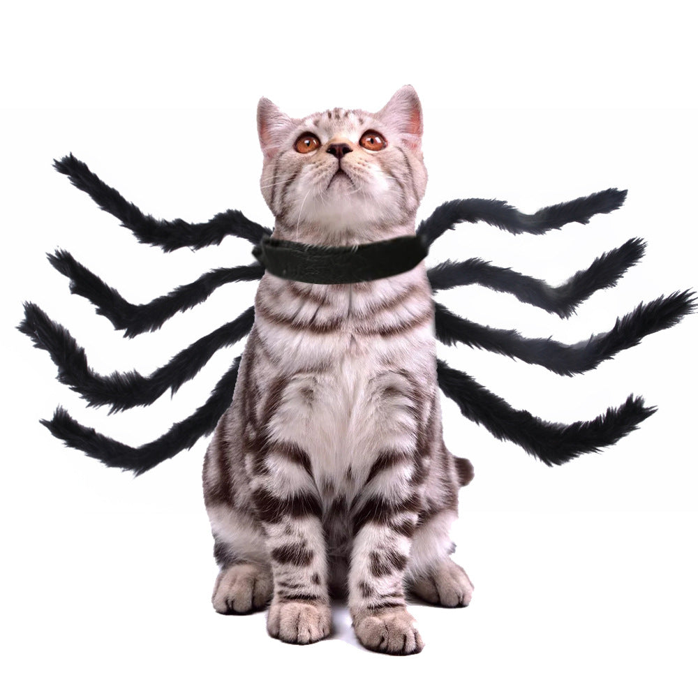 Cat wearing Furly Spider Pack Halloween costume