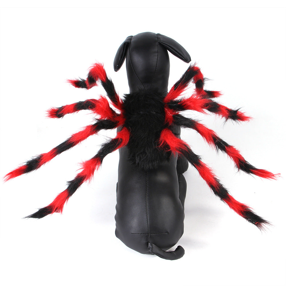 Back view of spider costume legs on cat