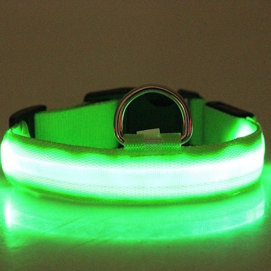 Furly Glow Collar — USB-Rechargeable LED Dog Collar