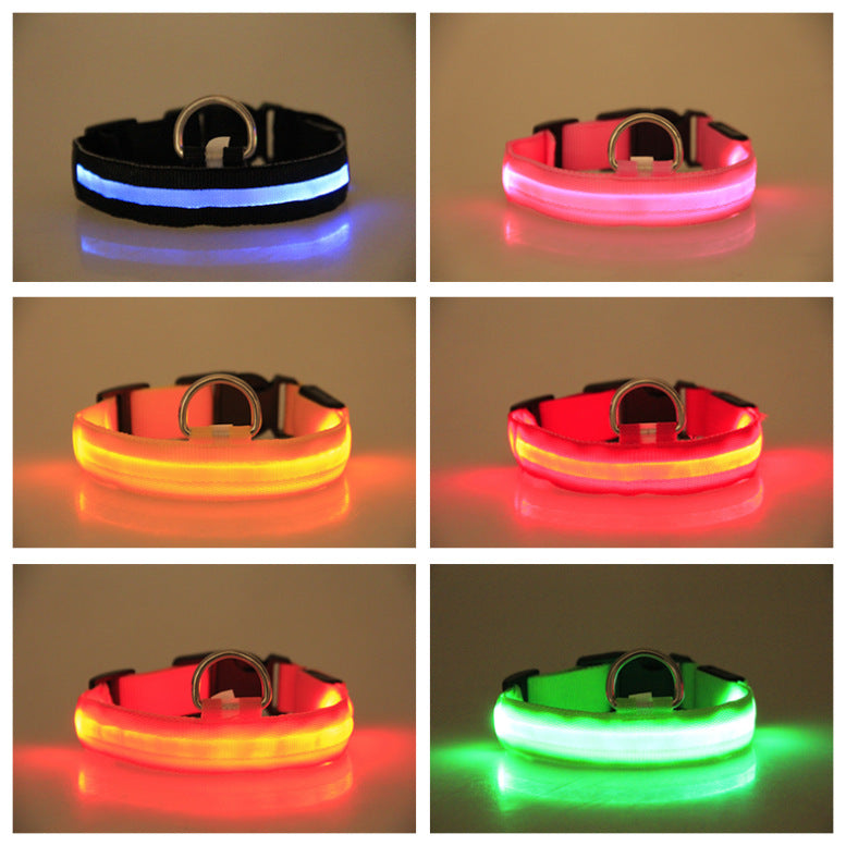 Furly Glow Collar — USB-Rechargeable LED Dog Collar