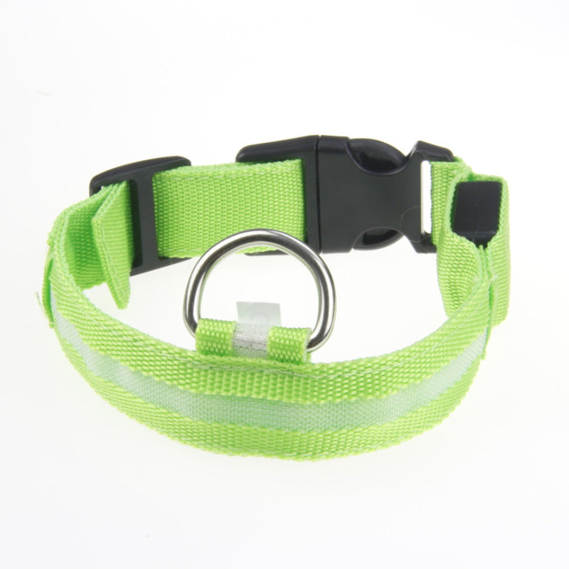 Furly Glow Collar — USB-Rechargeable LED Dog Collar