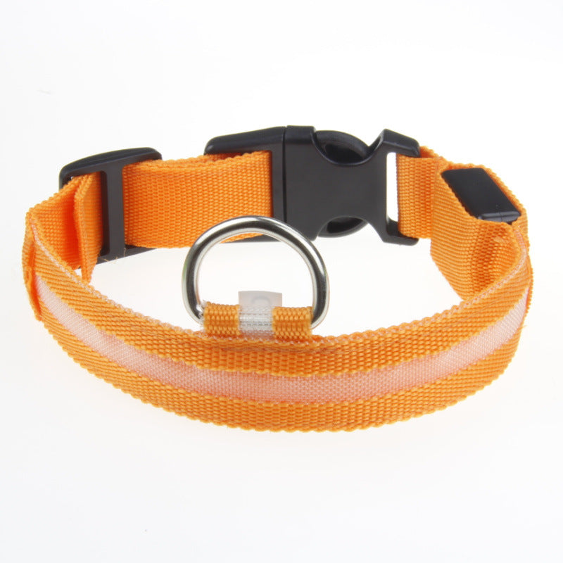 Furly Glow Collar — USB-Rechargeable LED Dog Collar