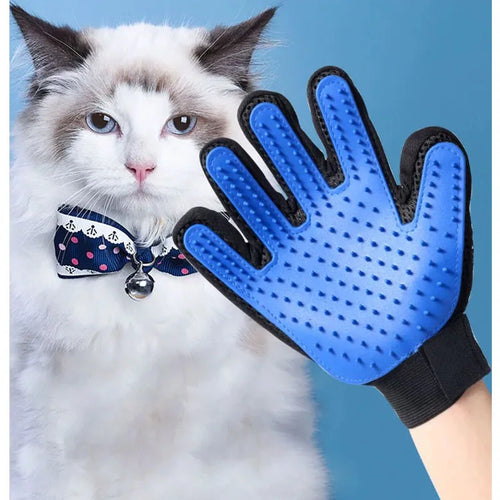 White cat next to a hand wearing the blue Furly grooming glove