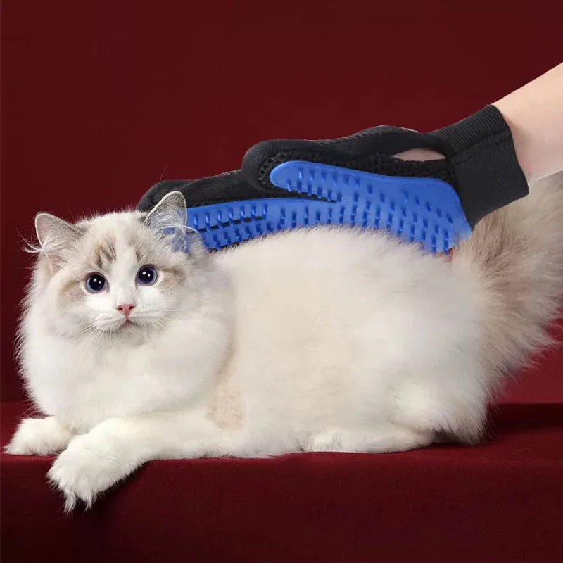 Hand grooming a fluffy cat with the Furly deshedding glove