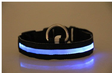 Furly Glow Collar — USB-Rechargeable LED Dog Collar