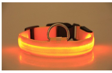 Furly Glow Collar — USB-Rechargeable LED Dog Collar