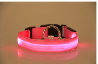 Furly Glow Collar — USB-Rechargeable LED Dog Collar